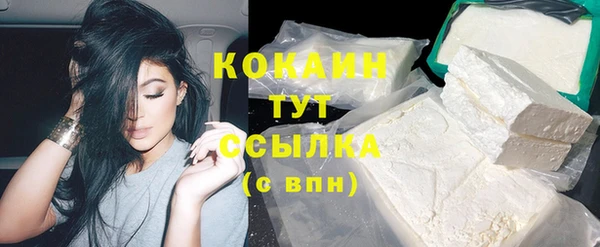 индика Заводоуковск