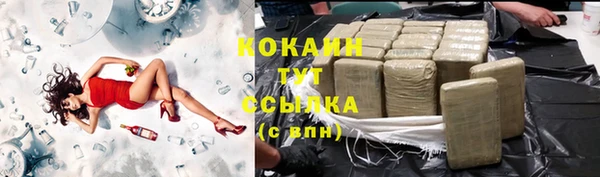 индика Заводоуковск
