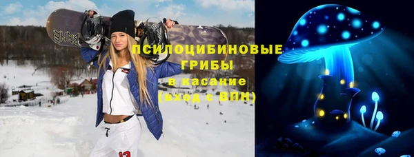 индика Заводоуковск