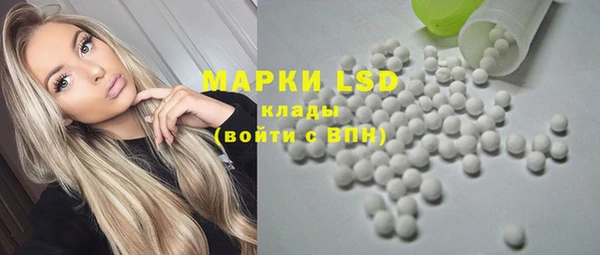 индика Заводоуковск