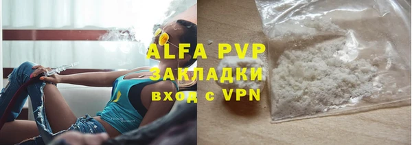 индика Заводоуковск