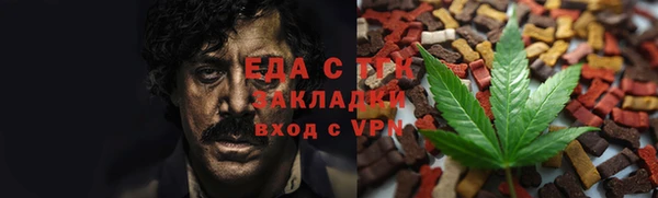 индика Заводоуковск