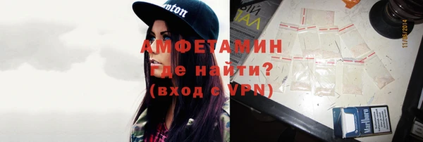 индика Заводоуковск