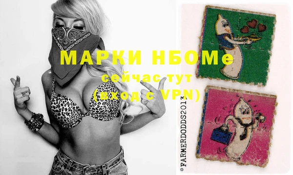 индика Заводоуковск