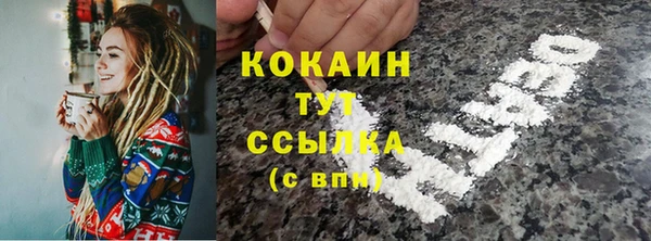 индика Заводоуковск