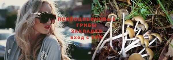 эйфоретик Александровское
