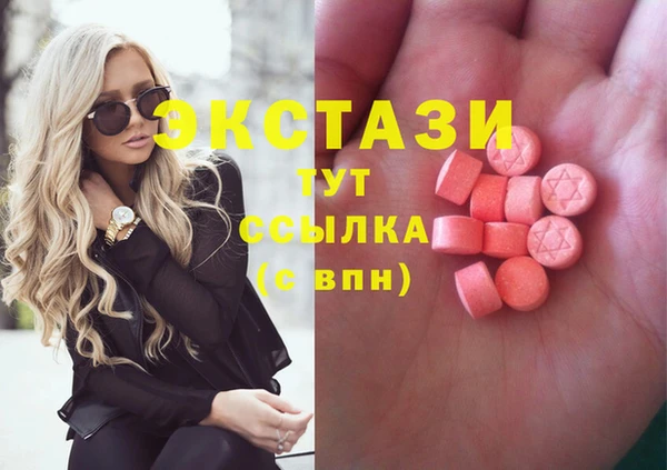 индика Заводоуковск