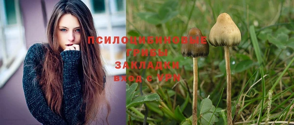 СК Заволжье