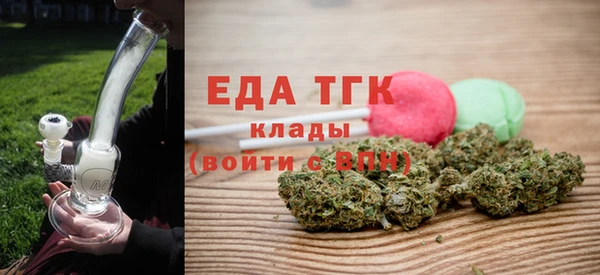индика Заводоуковск